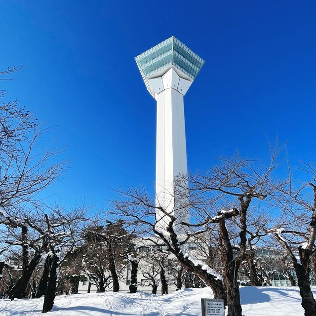 函館代表景點 五稜郭公園❄️