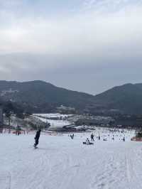 초보자 스키장 추천! 무주리조트 :D 중급 후기
