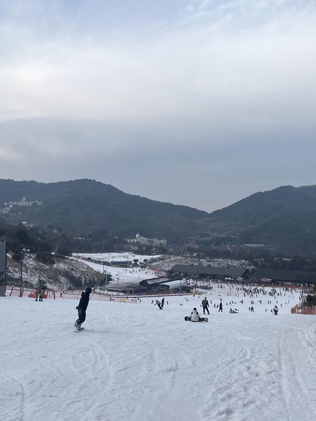 초보자 스키장 추천! 무주리조트 :D 중급 후기