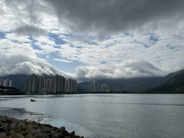 本地遊 | 東涌 | 捉緊櫻花園廣州櫻的尾巴