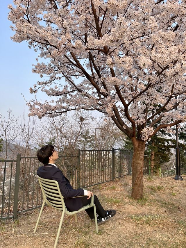 에버랜드 숨은 풍경 맛집, ‘하늘 정원길’🌸💕