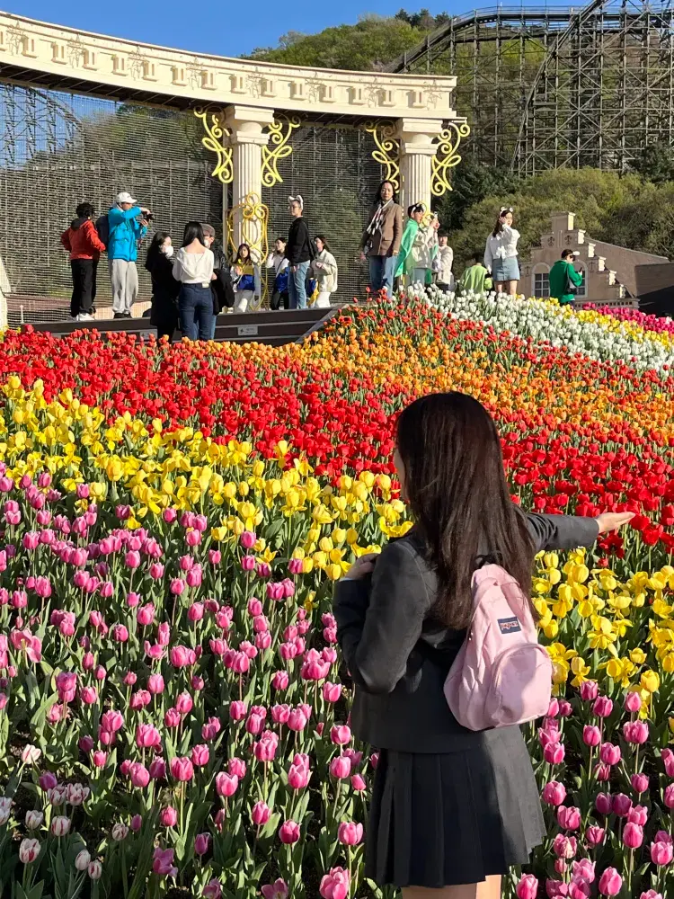 에버랜드 튤립축제 가야하는이유! 🌷 인생샷 만땅