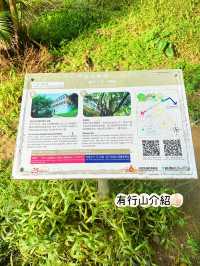 ⭐️香港三級建築～舊域多利醫院變左政府宿舍？👻