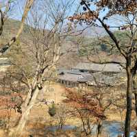 피크닉을 즐기기에 좋은 공주 절 여행 마곡사