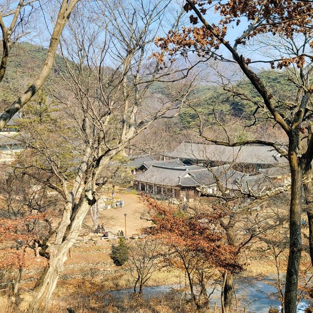 피크닉을 즐기기에 좋은 공주 절 여행 마곡사