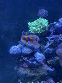 일산 핫플 🐠 아쿠아플라넷에서 주말 보내기