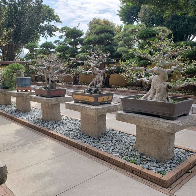 南蓮園池