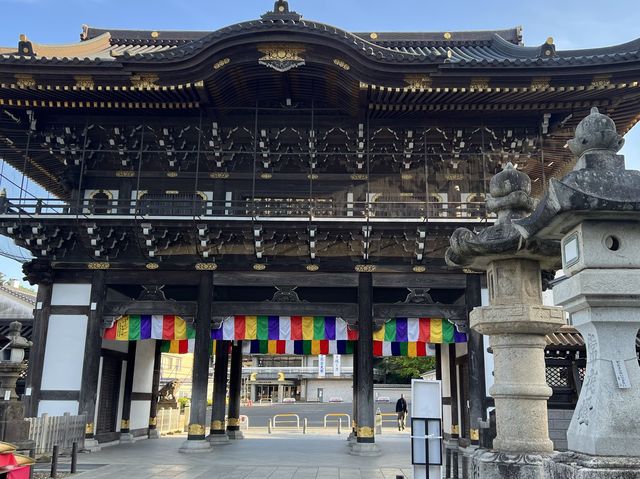 東京必去景點｜成田山新勝寺，離成田機場超近一站就到