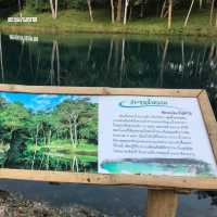 เที่ยวเชียงรายอุทยานแห่งชาติถ้ำหลวง ขุนน้ำนางนอน 🏞️