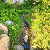 Natural Hot Spring Footbath in Sembawang 