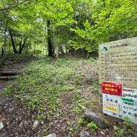 【山梨】いざ夏山へ！広河原から白根御池までの登山道