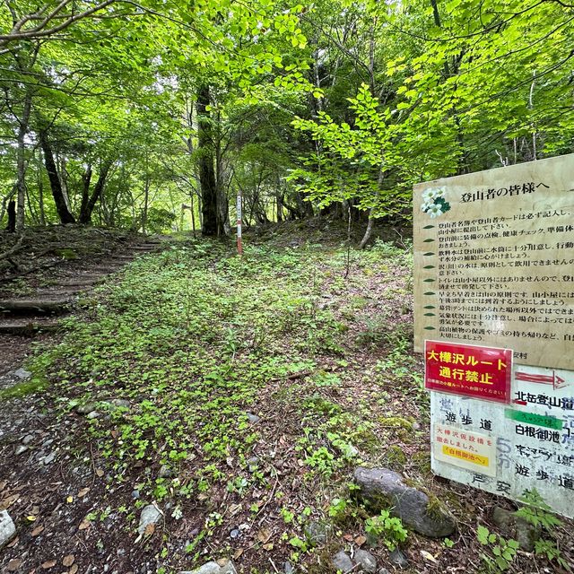 【山梨】いざ夏山へ！広河原から白根御池までの登山道