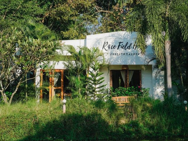 Rice Field Home Farm Stay & Cafe ที่พัก ร้านอาหาร 