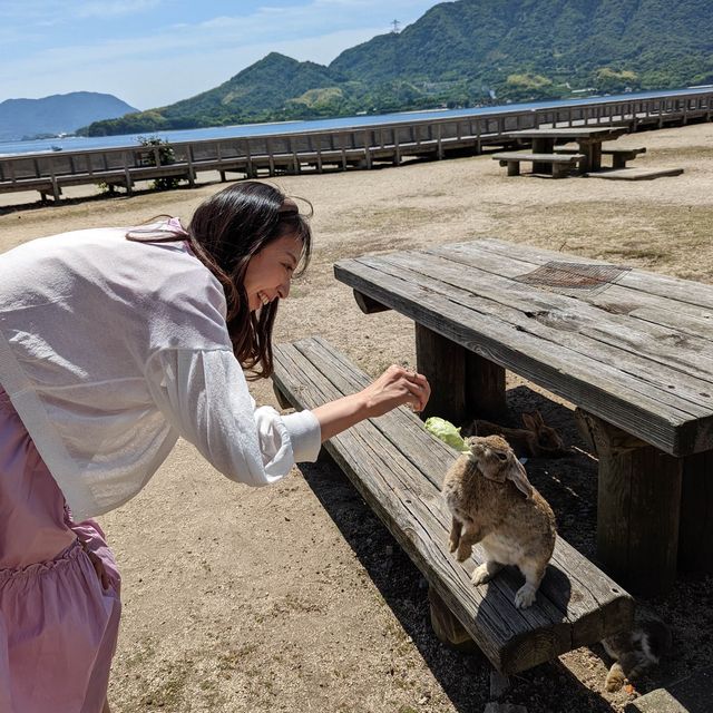 📍大久野島/広島
