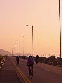 香港｜踩單車去機場維修區追一場日落🚲🌅