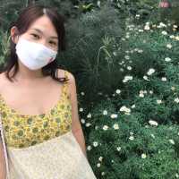 [Explore Singapore] Gardens of Your Dreams