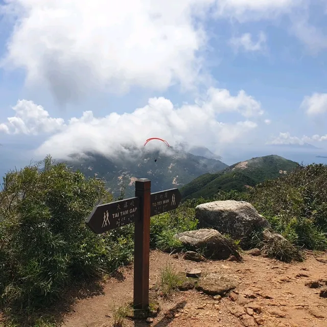 용의 등줄기를 따라서, 홍콩 드래곤스 백(Dragon's Back) 하이킹