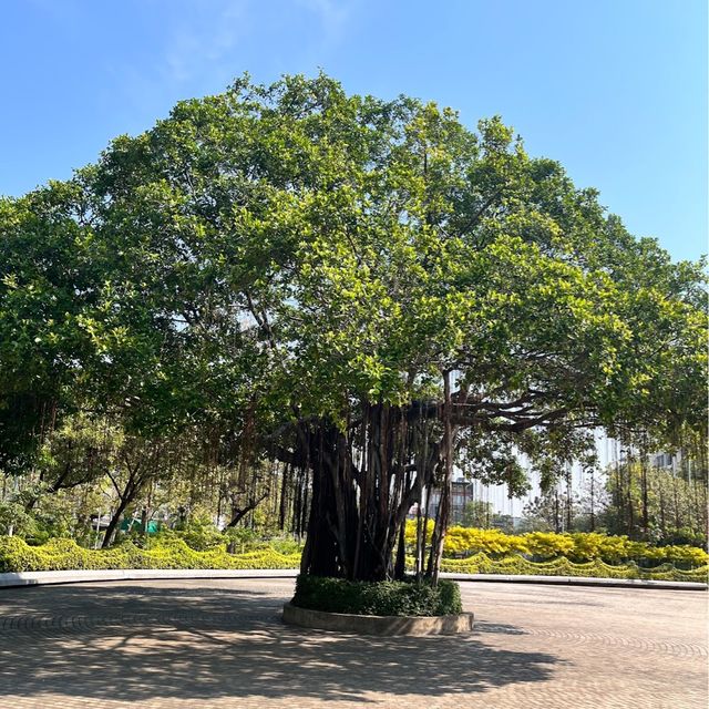 Santiphap Park