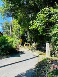 Asaina Kiridoshi Pass - Kumano Shrine 