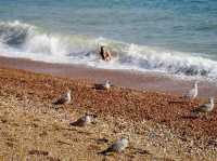 Most famous Brighton beach in United Kingdom 