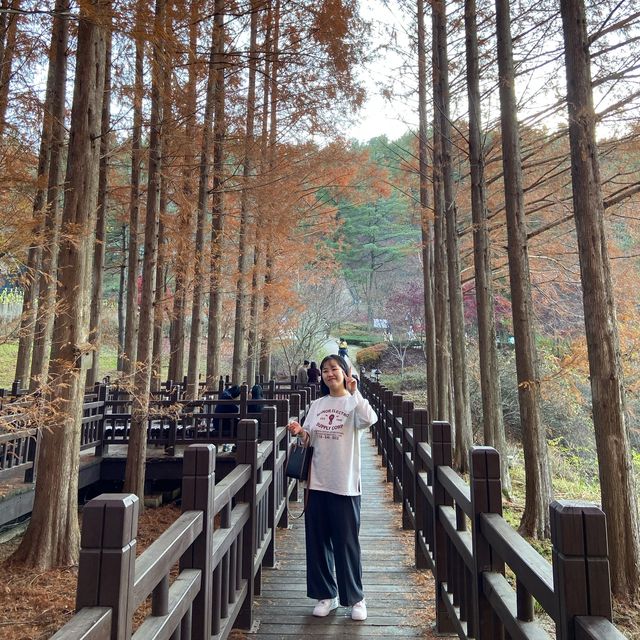 대통령 별장에서 가을 산책🤎 청주 청남대