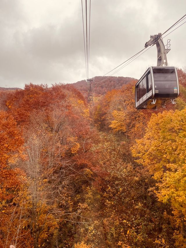 Zao ropeway ใน Autumn vibe 🍂