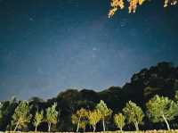 山野戀露營區
