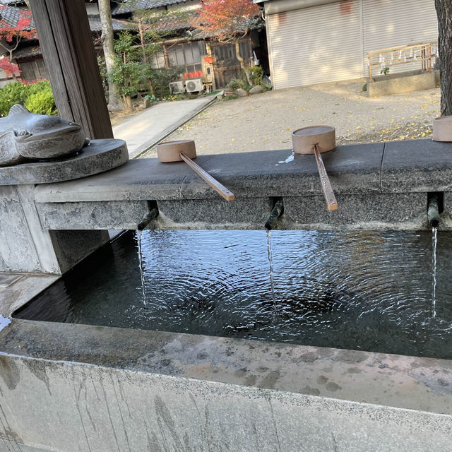 嬉野溫泉日歸遊