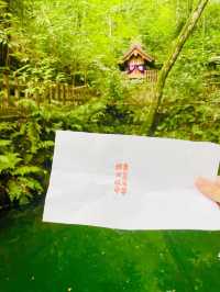 【島根県/八重垣神社】2023年行ってよかった！島根県の神社③