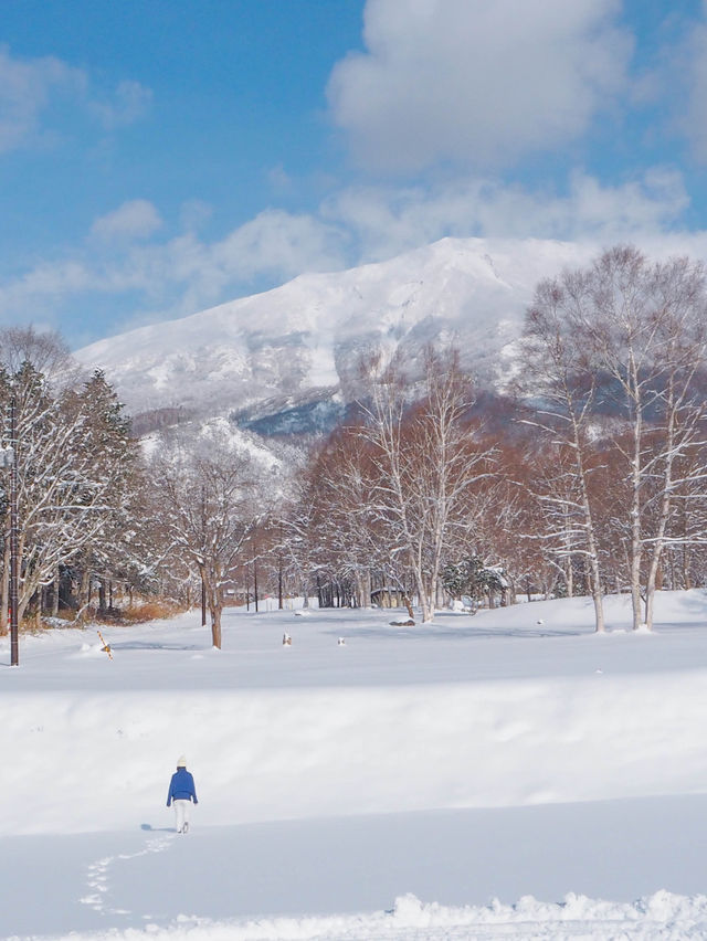 【北海道・ニセコ】富士山はここにもあった🤭