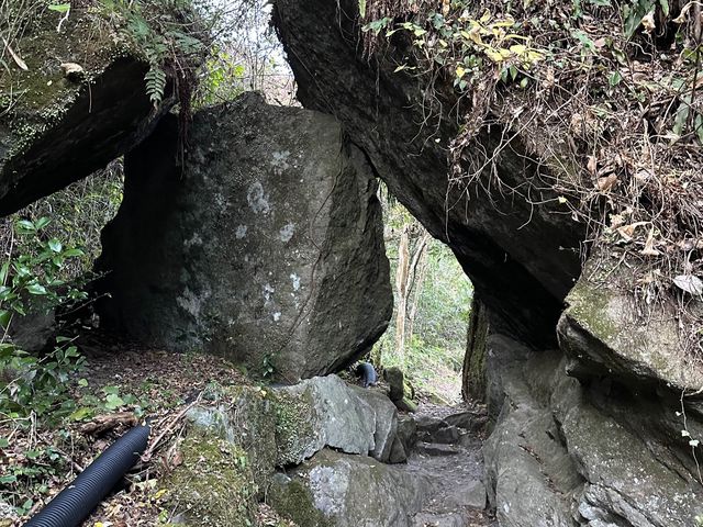 紅葉名所　一目八景