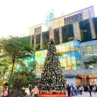 The joy of Christmas is best felt when standing in front of a beautifully decorated tree🎄