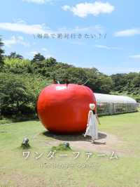 【福島】トマトのテーマパーク！？🍅🎢 フォトスポットからトマト狩りまで楽しめる穴場スポット🥫✨ 