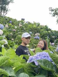 กู๋เนียร์ไฮเดรนเยีย