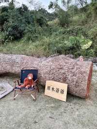 露營新體驗🏕️，Autocamper紅花嶺體驗山中小屋休閑感