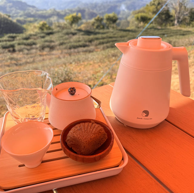景美山林茶園&山月茶屋/桃園寵物友善網美景點