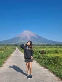 The Majesty of Mount Semeru Volcano