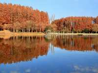 The largest park in Tokyo