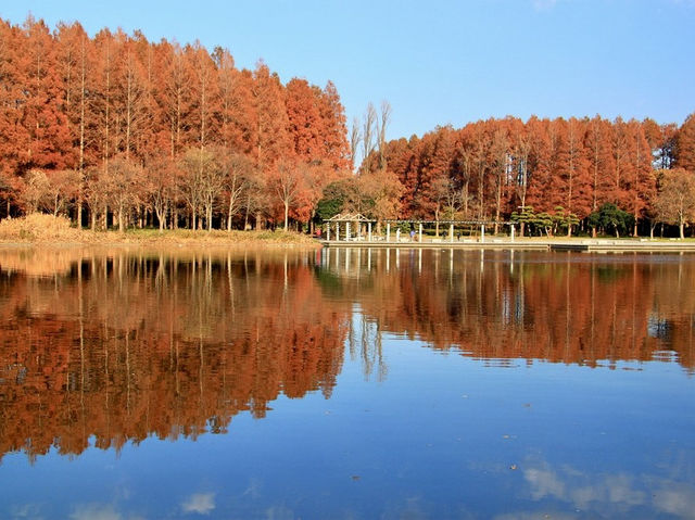 The largest park in Tokyo