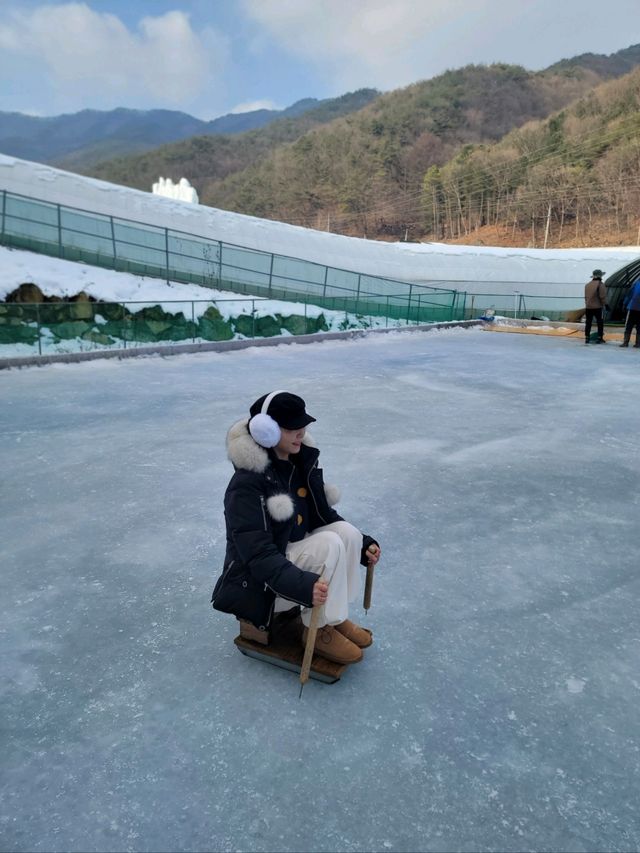 어른이도 신나는 하루종일 무제한 썰매타기❄️