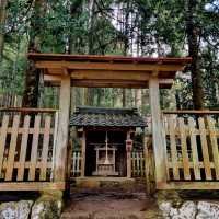 Kayabuki No Sato หมู่บ้านเก่าอันแสบสงบ