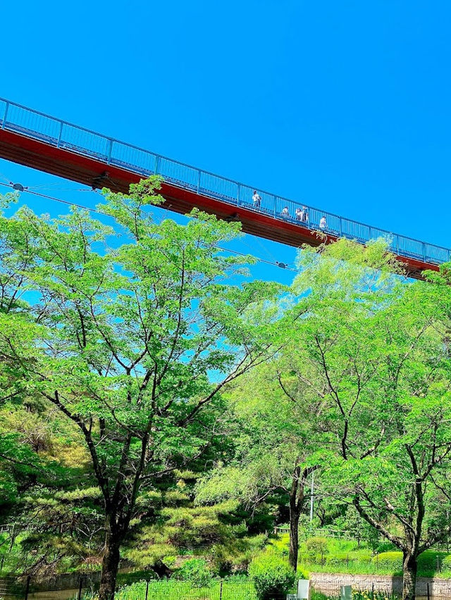 Hachimanyama Park Adventure Bridge 