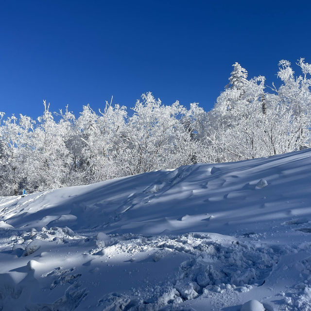 《哈爾濱美食冰雪之旅:探索中國雪鄉與大教堂》 《哈爾濱美食冰雪之旅:探索中國雪鄉與大教堂》