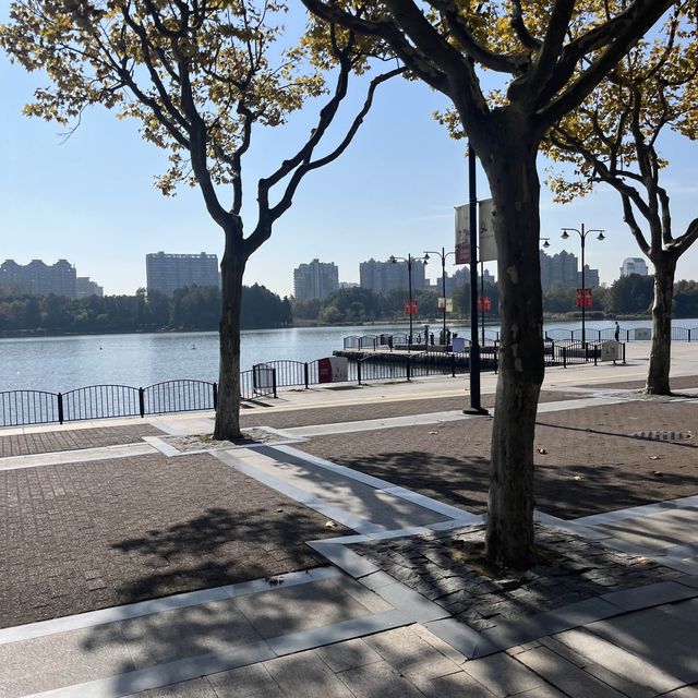 上海世紀公園
