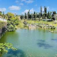 Botanical Gardens in Okinawa 