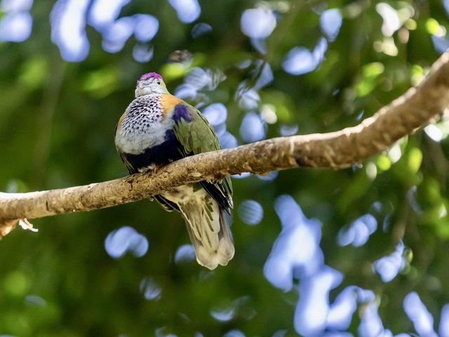 Taronga Zoo Sydney