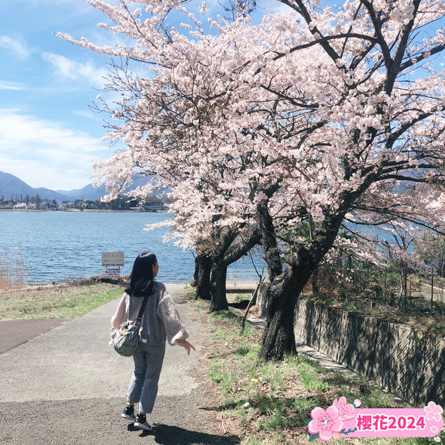 【河口湖天上山公園】飽覽富士山和河口湖的美景