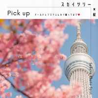 東京スカイツリー✖️桜スポット🌸