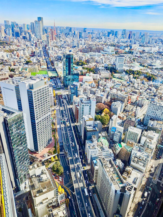 Shibuya Sky