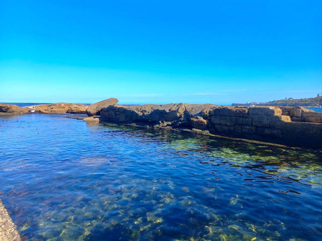 Coogee Beach